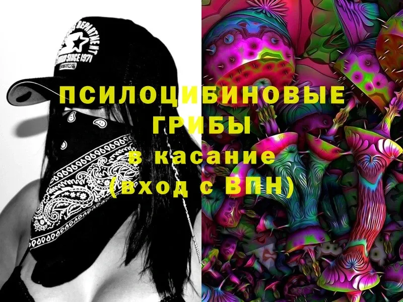 Галлюциногенные грибы MAGIC MUSHROOMS Багратионовск